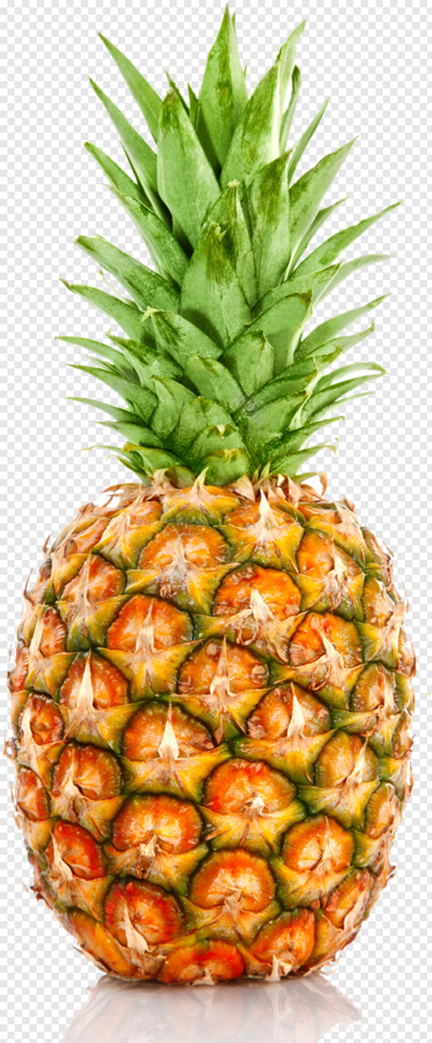 pineapple # 809987