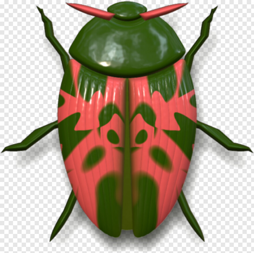 beetle # 512122