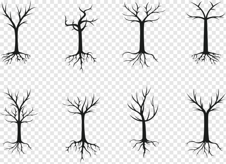 tree-roots # 459852