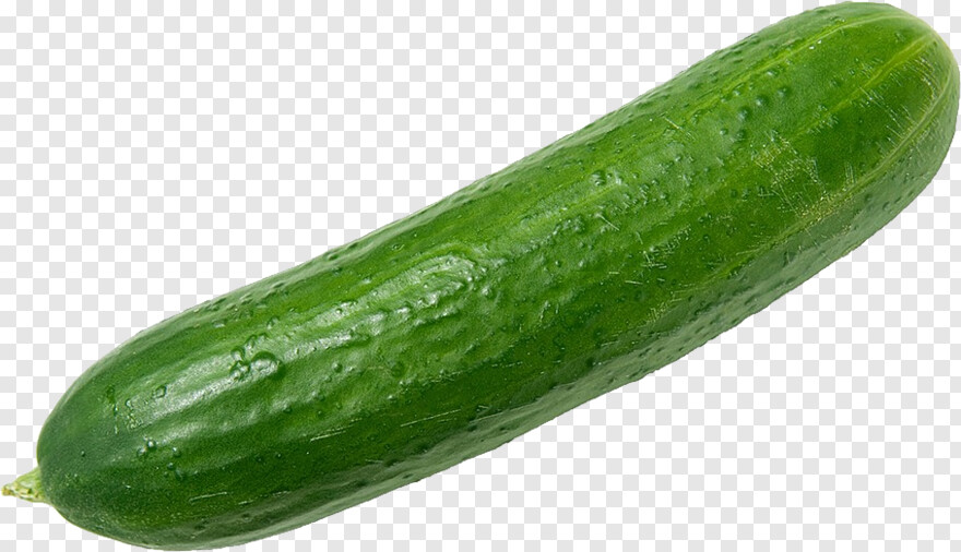 cucumber # 938104