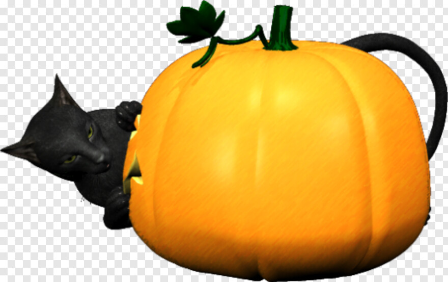 pumpkin # 788065