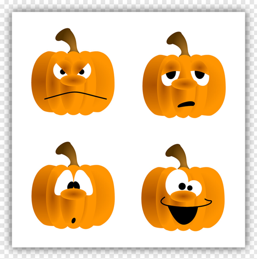 pumpkin # 850261