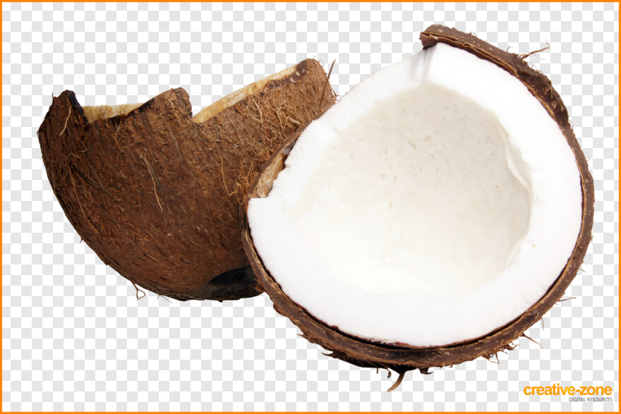 coconut # 990250