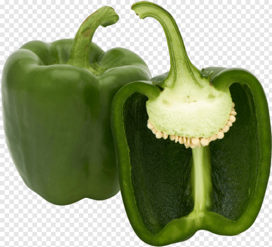 bell-pepper # 376015