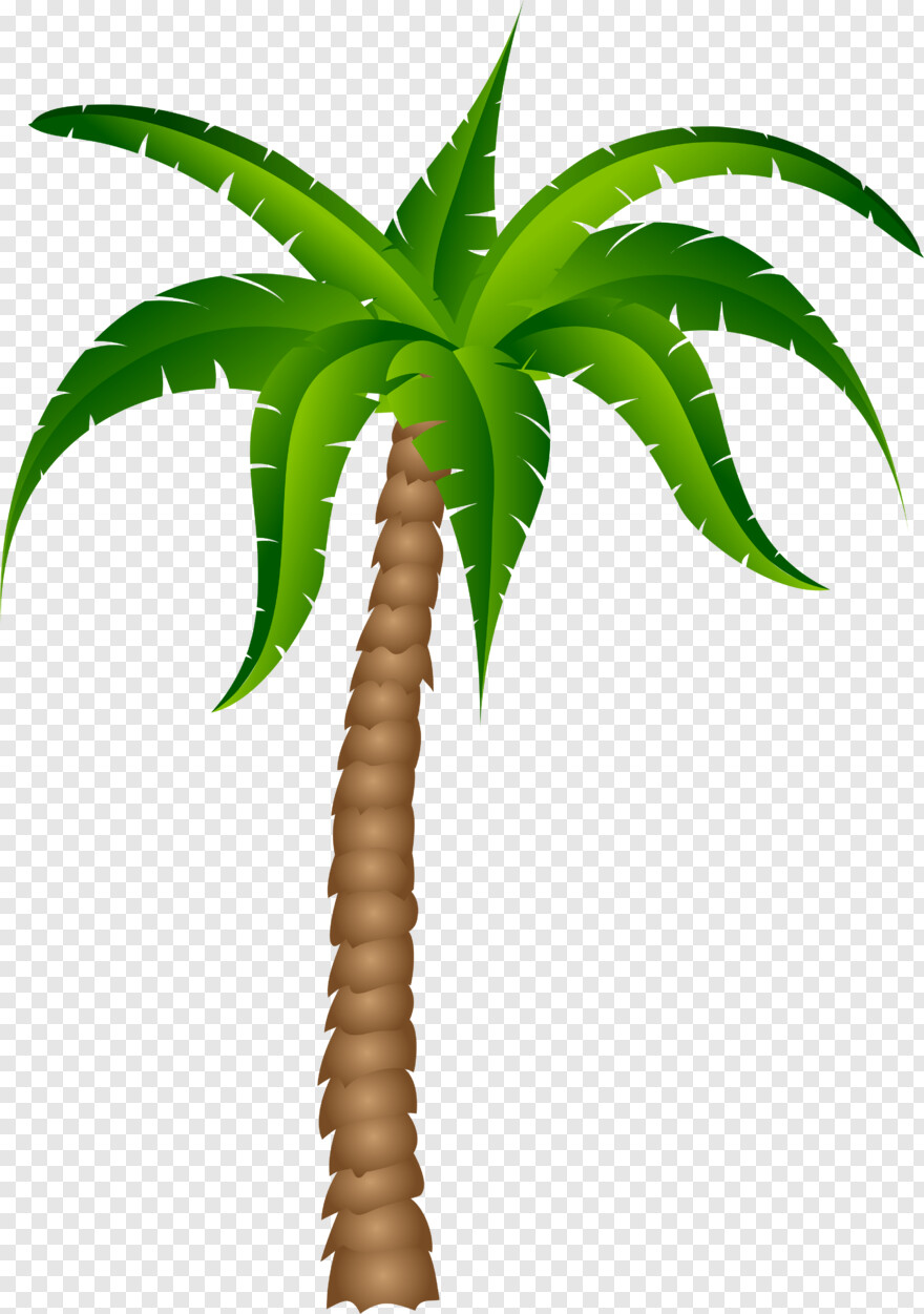 palm-tree # 461565