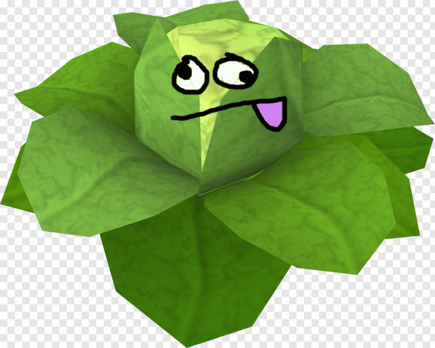 cabbage # 1089957
