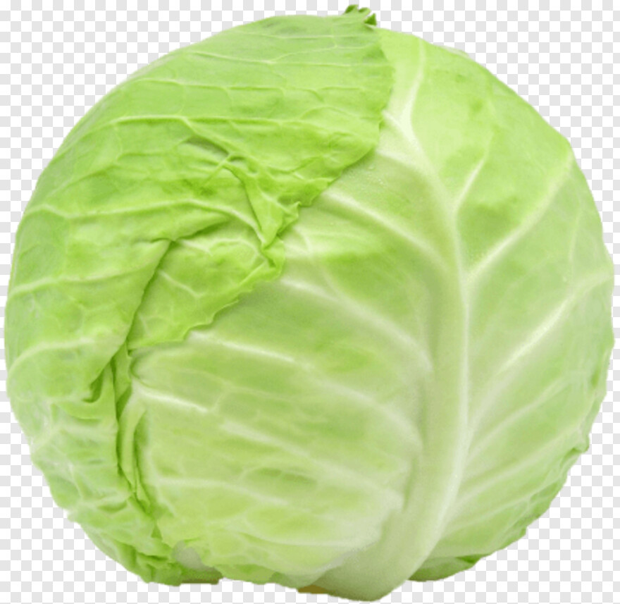 cabbage # 1089950