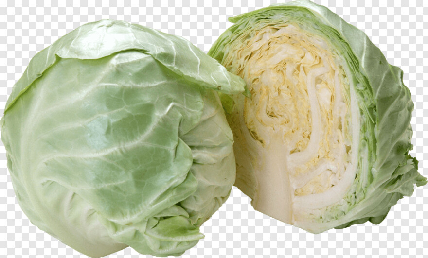 cabbage # 1089949