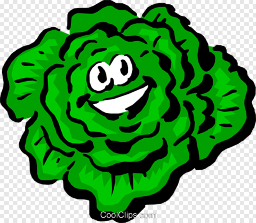 lettuce # 718553