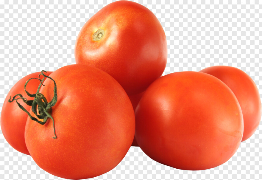 tomato # 717913