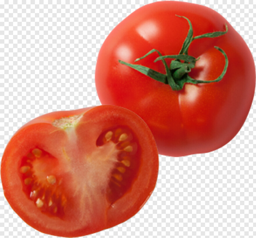 tomato # 601340