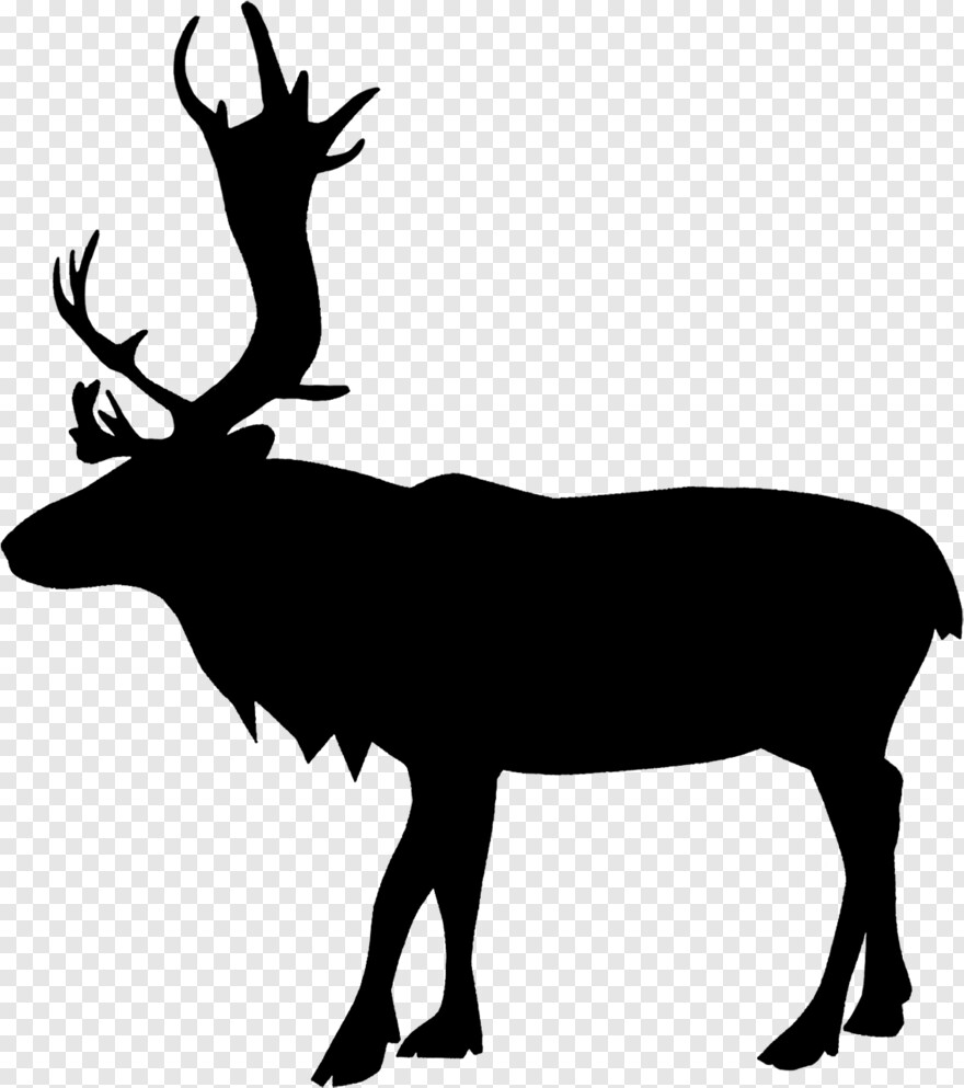 reindeer # 761484