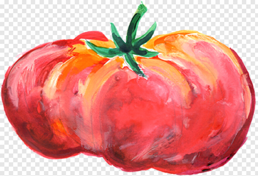 tomato # 601348