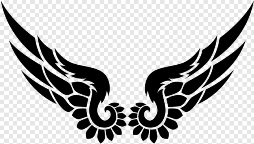 eagle-wings # 1059169