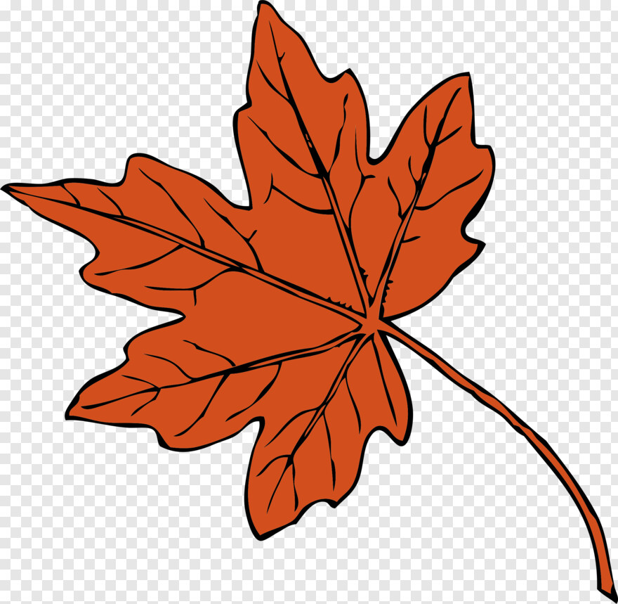 maple-leaf # 441919