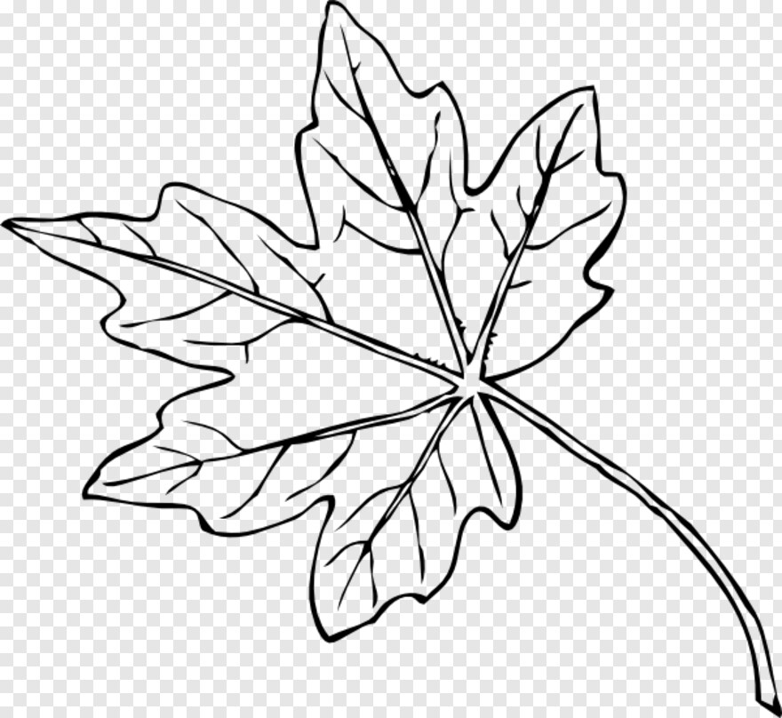 maple-leaf # 847261
