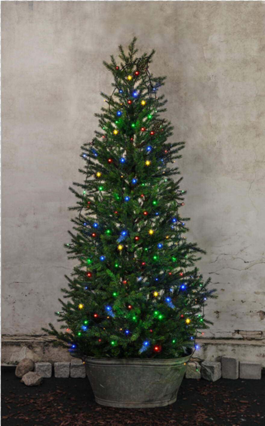christmas-tree-star # 459778