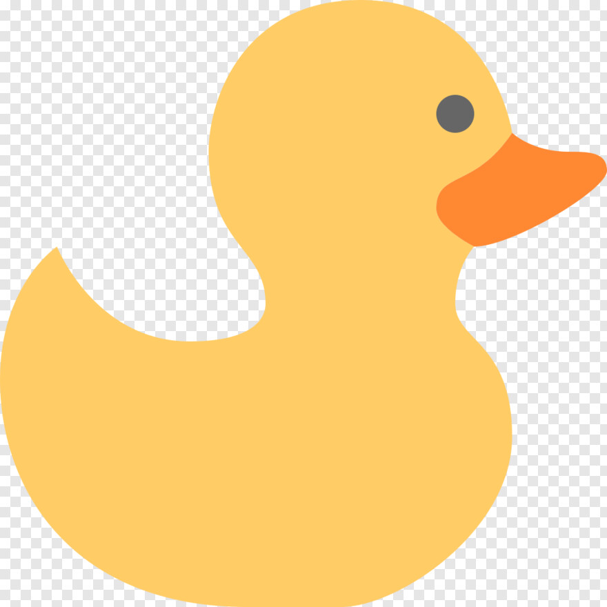 duck # 464869