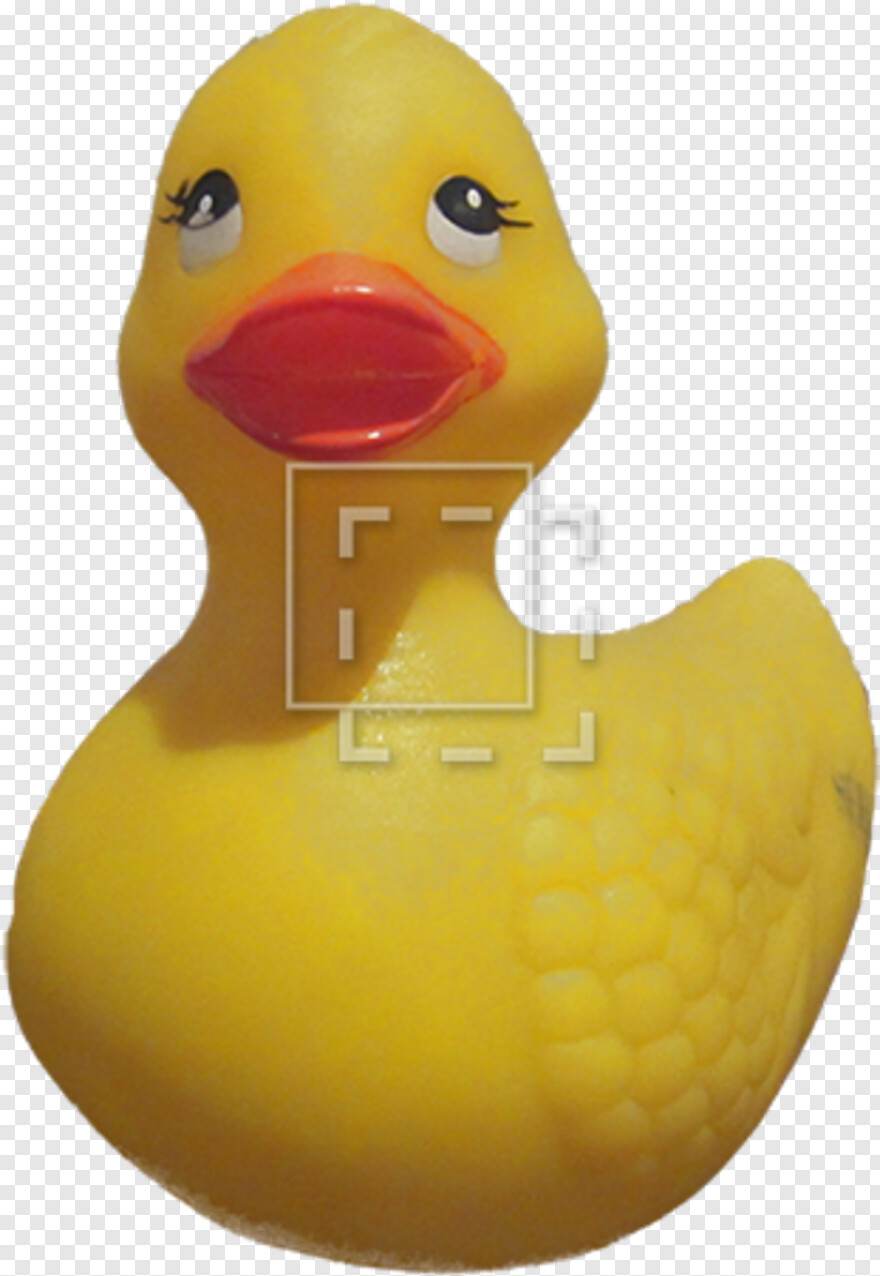 rubber-ducky # 879720
