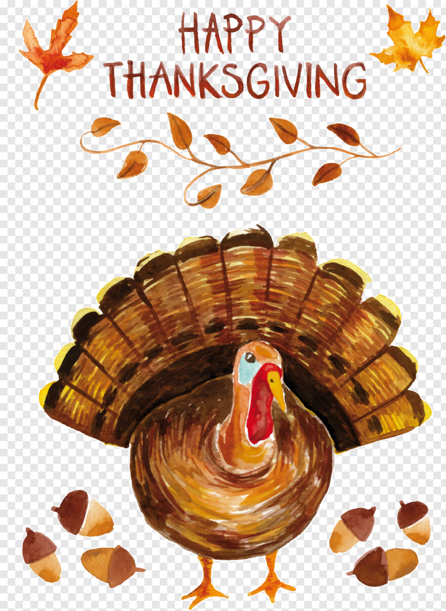 thanksgiving-turkey # 378762
