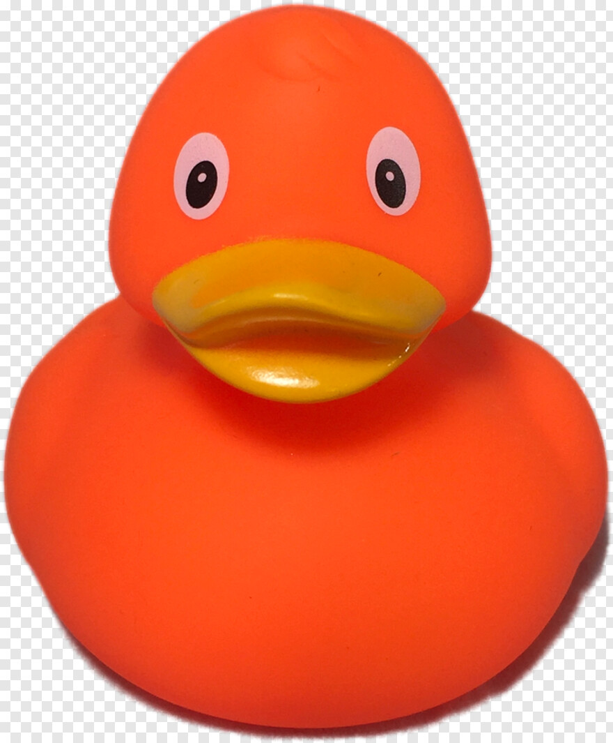 daffy-duck # 1006517