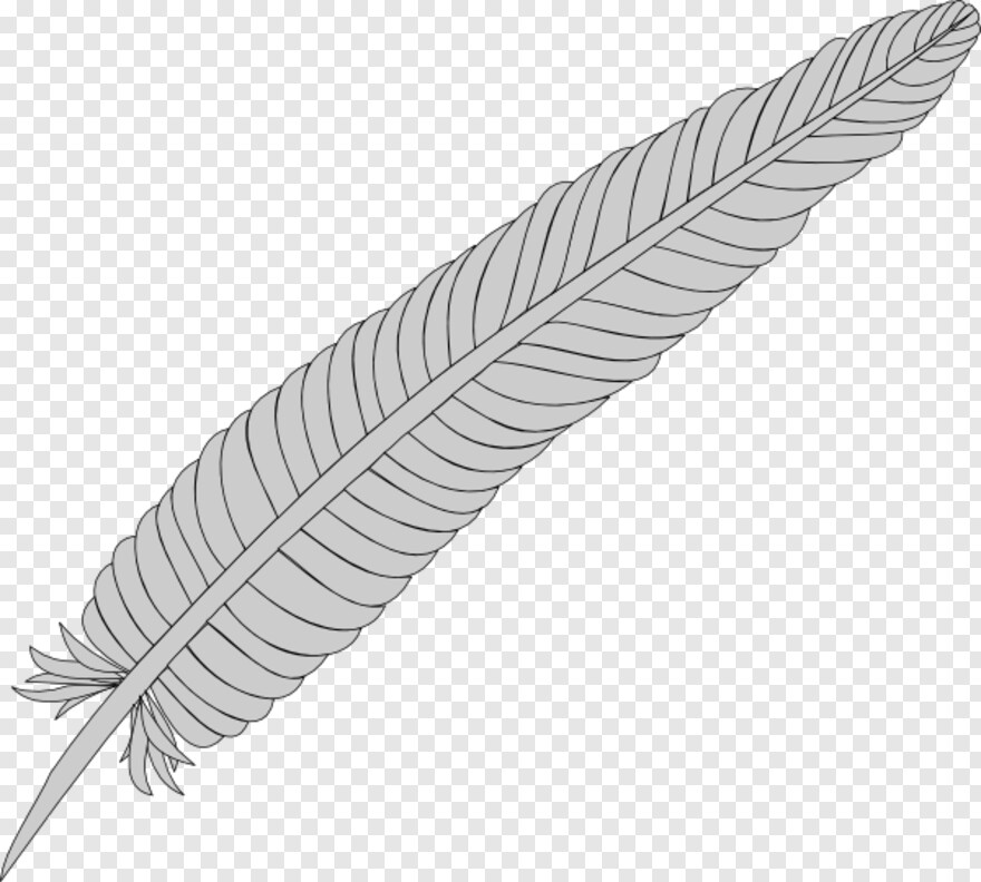 feather-silhouette # 999688
