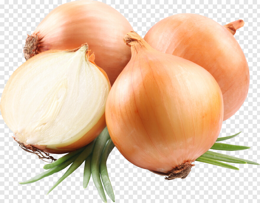 onion # 670457