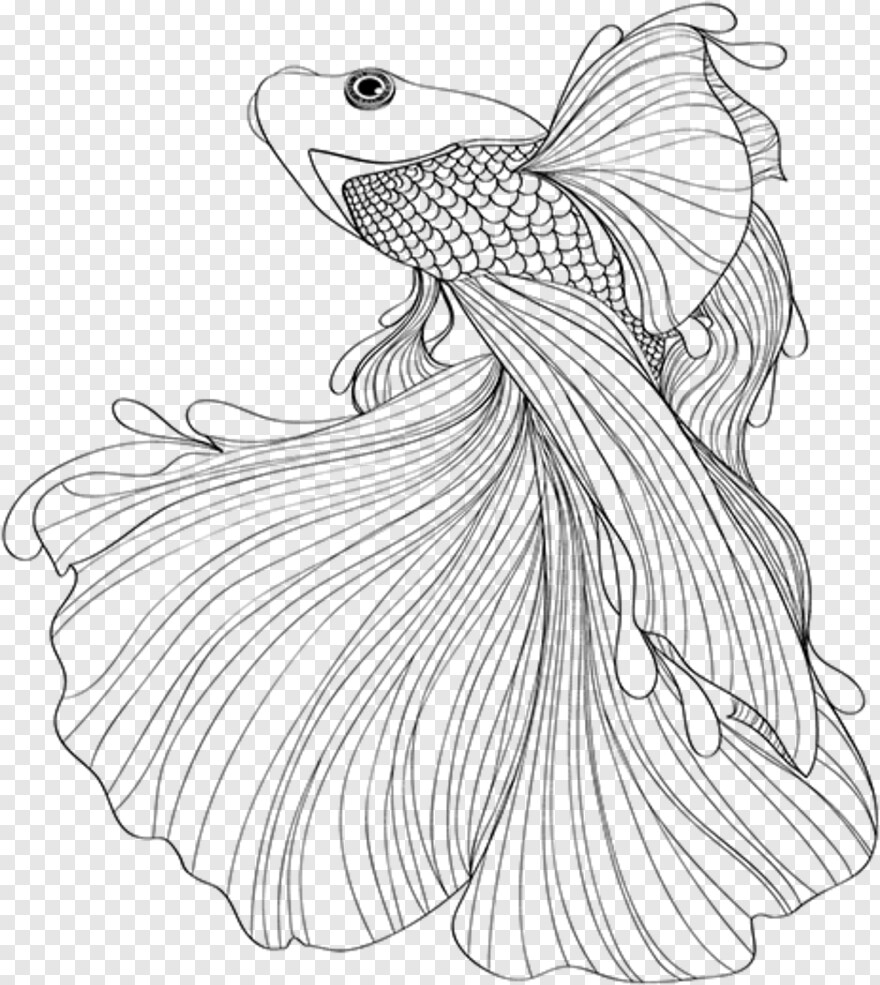 betta-fish # 369129