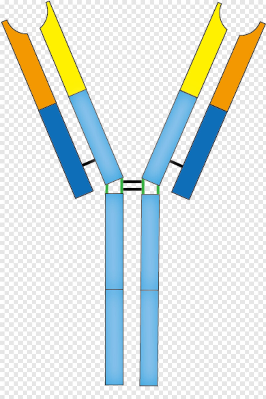 antibody # 506596