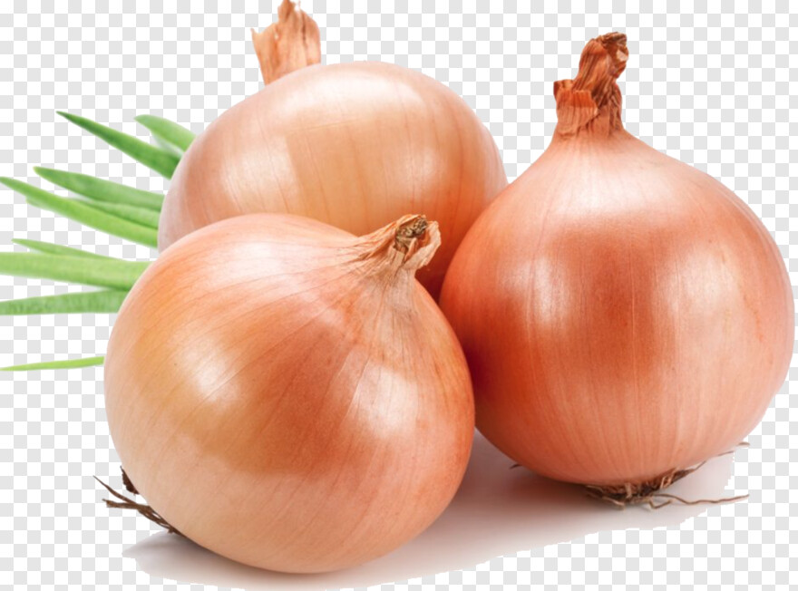 onion # 837919