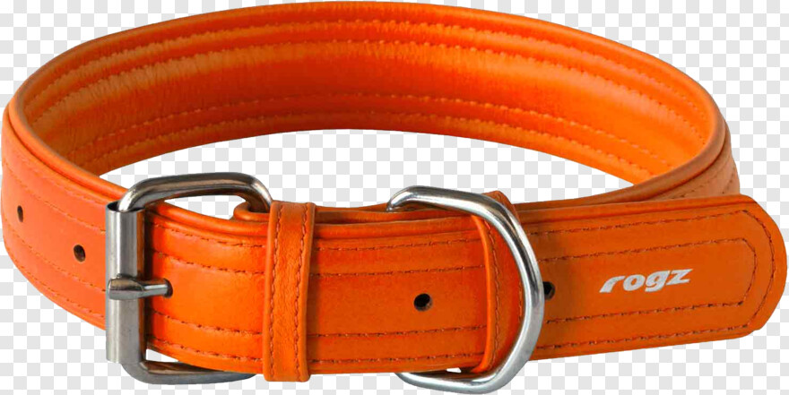 dog-collar # 1106289