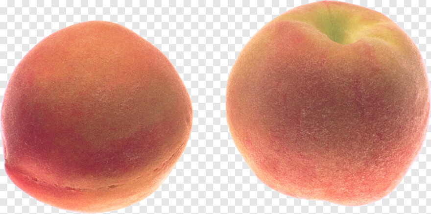 peach # 678953