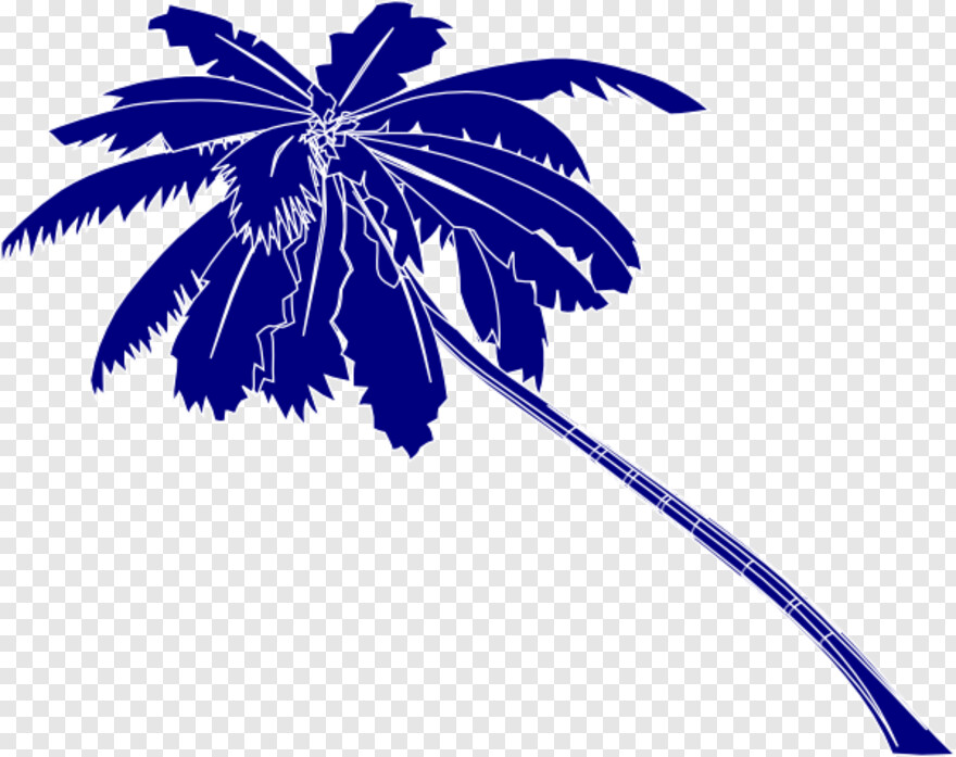 palm-tree # 480246