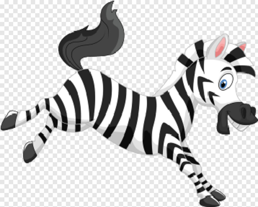 zebra # 512003