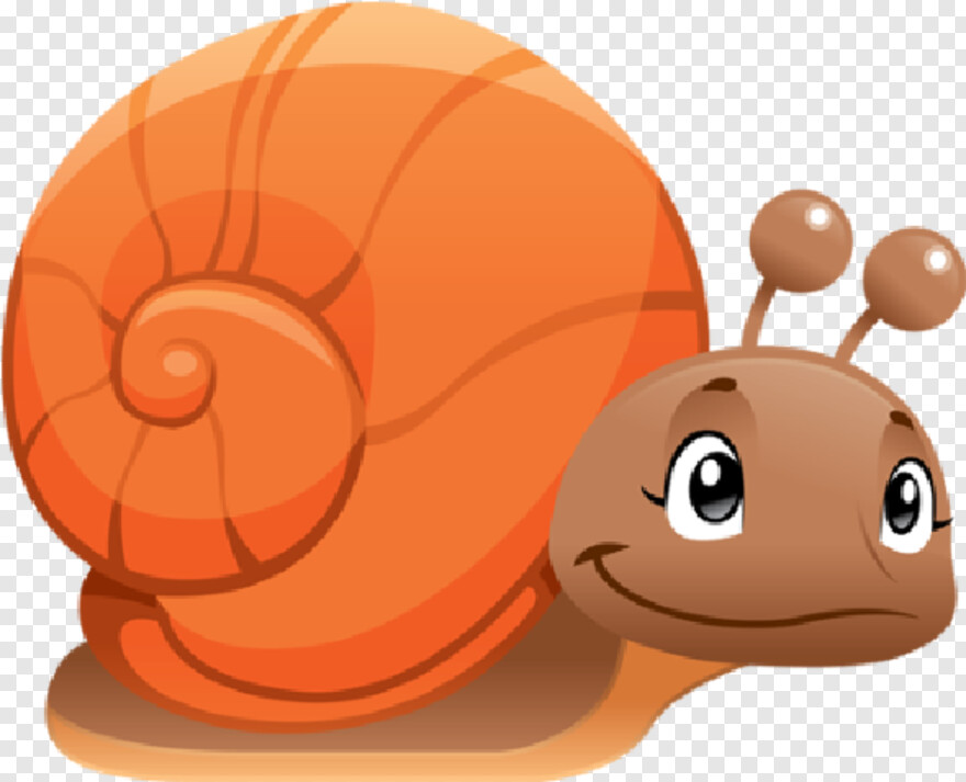 snail # 639182