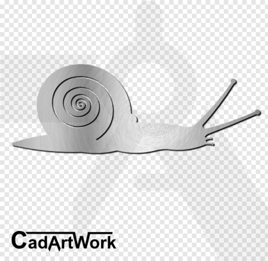 snail # 626464
