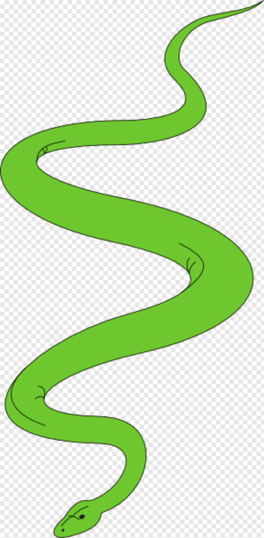 gucci-snake # 511997