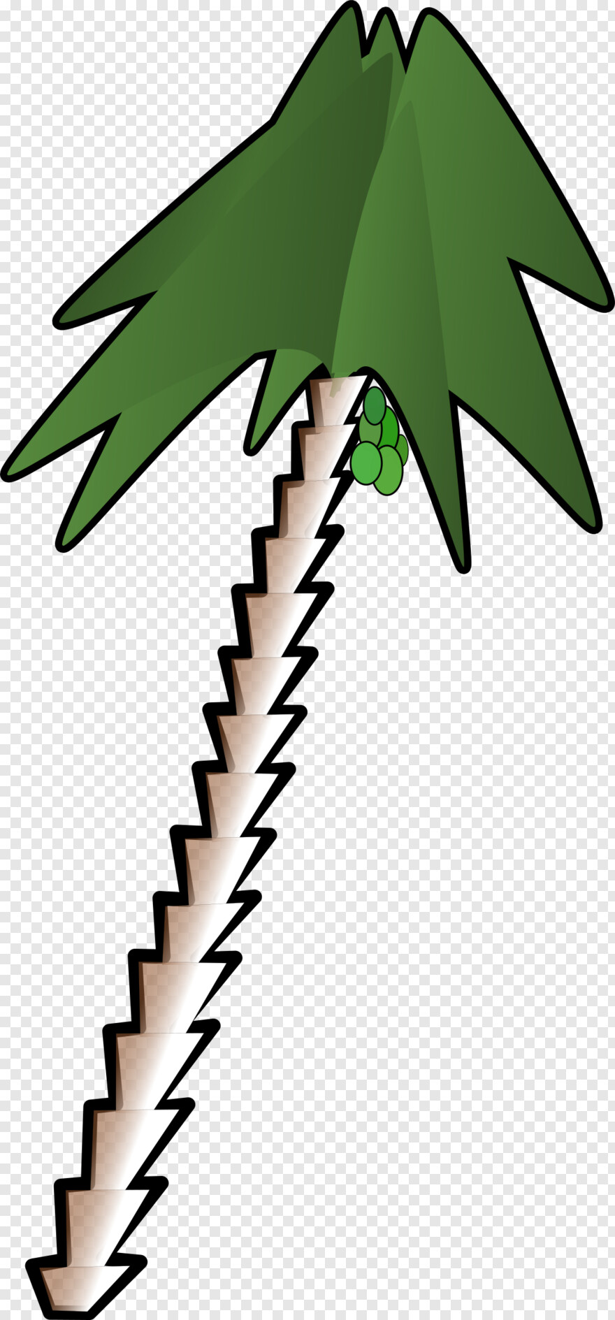palm-tree # 460468