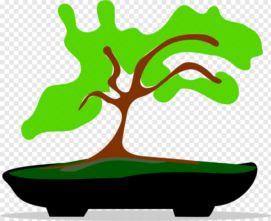 bonsai-tree # 459703