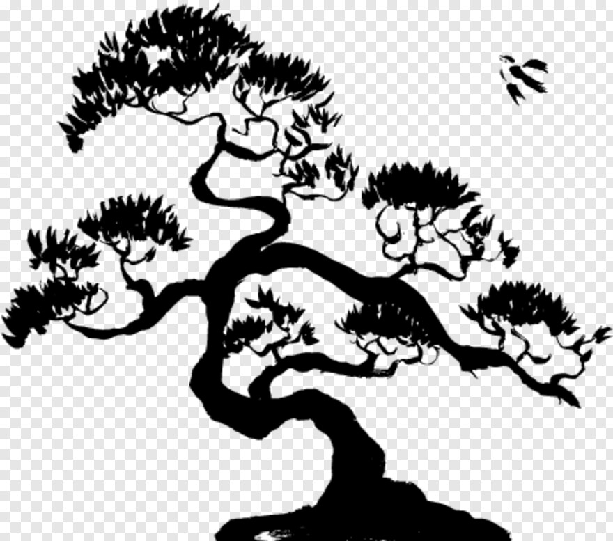 bonsai-tree # 459697