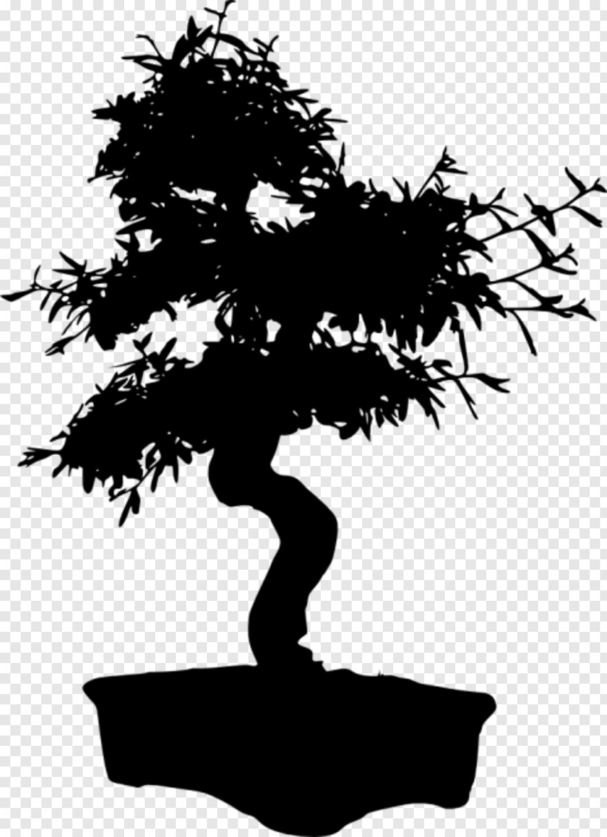 bonsai-tree # 333104