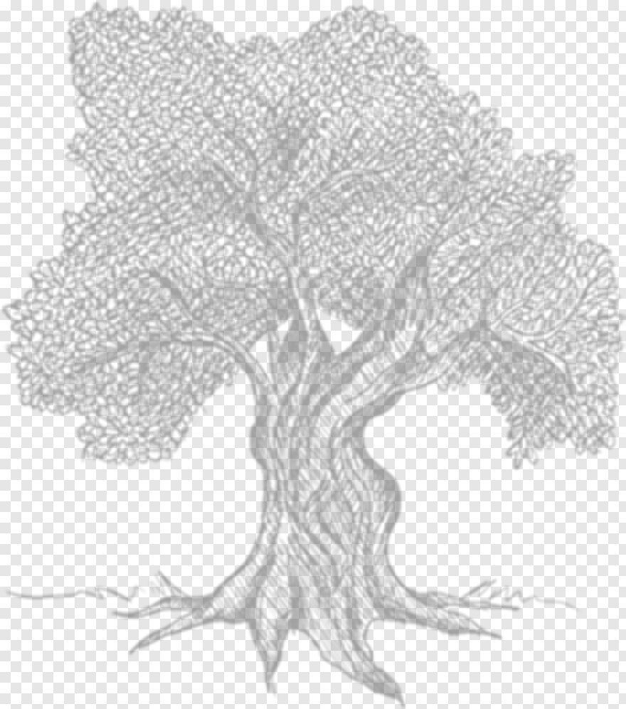 tree-drawing # 459685