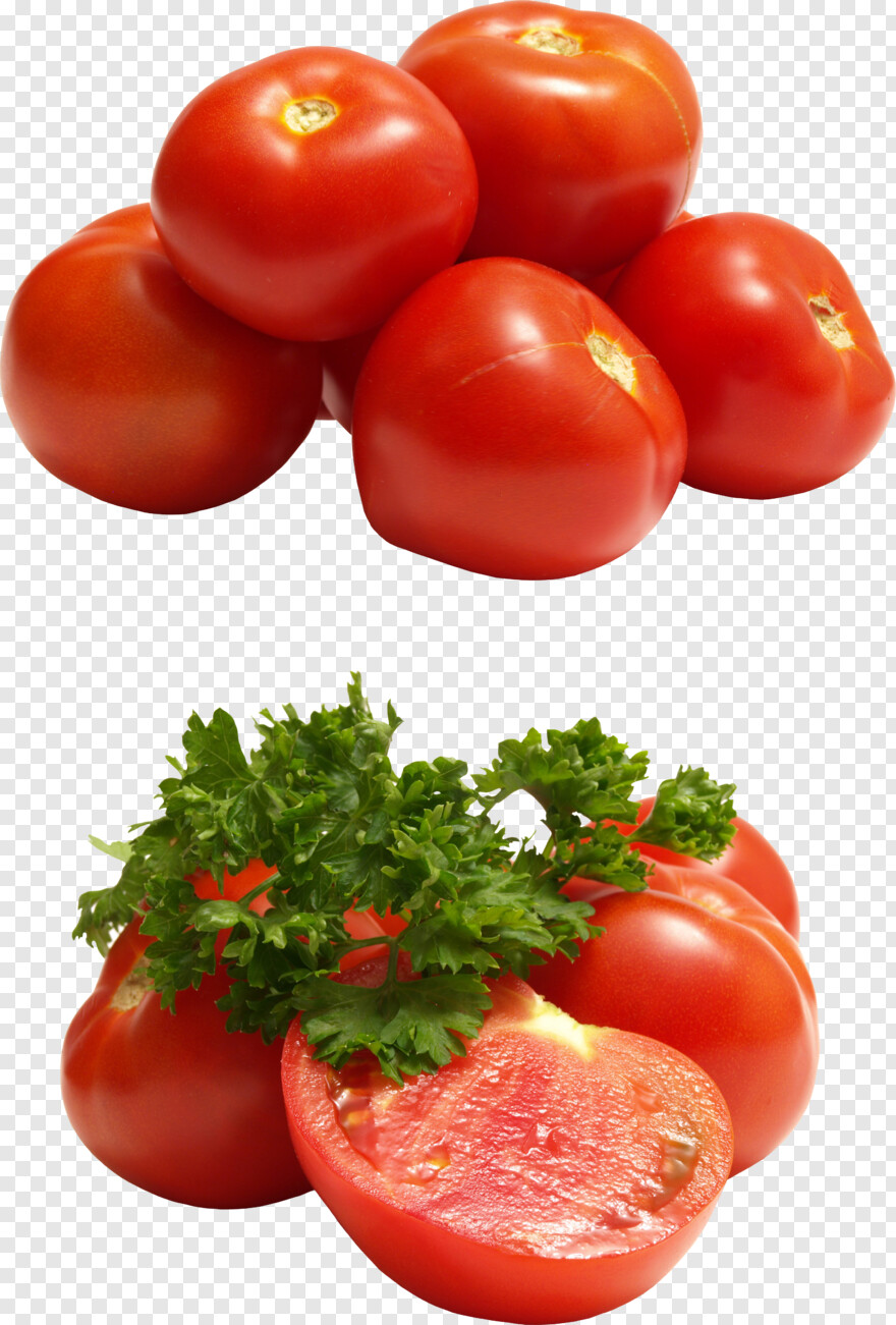 tomato # 601472