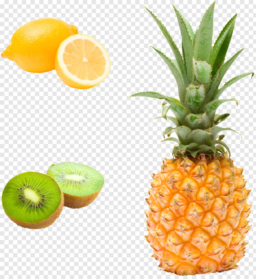 pineapple # 809973