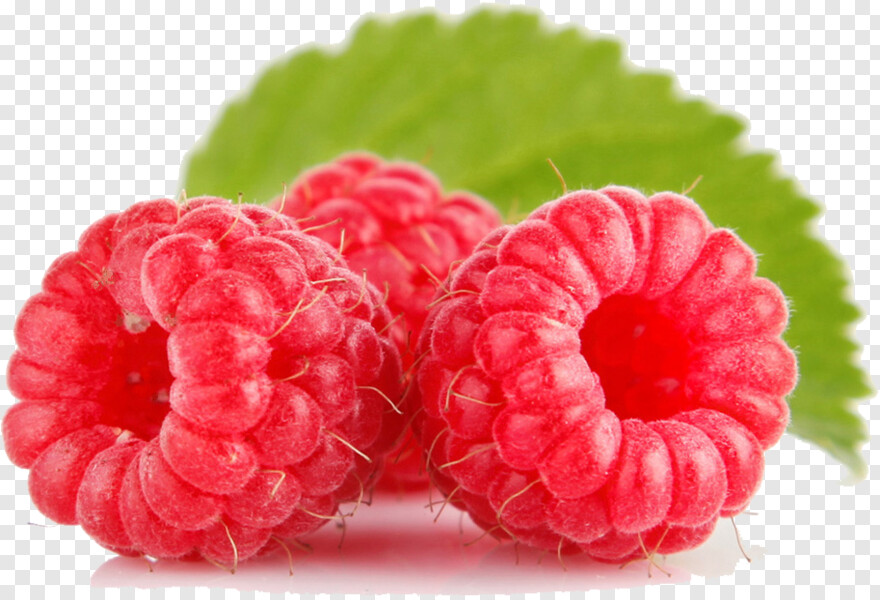 raspberry # 638511