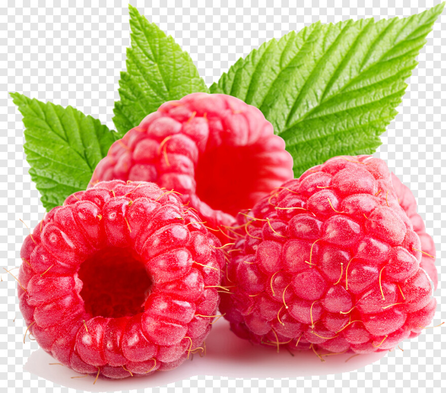 raspberry # 638517