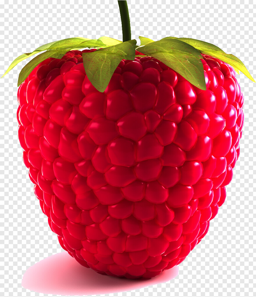 raspberry # 655350