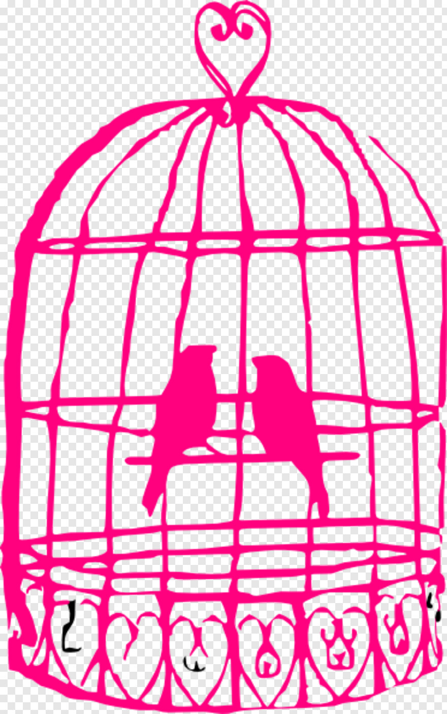 bird-cage # 359999