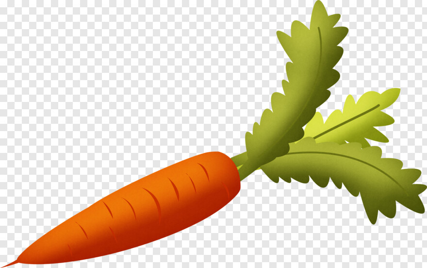 carrot # 1061275