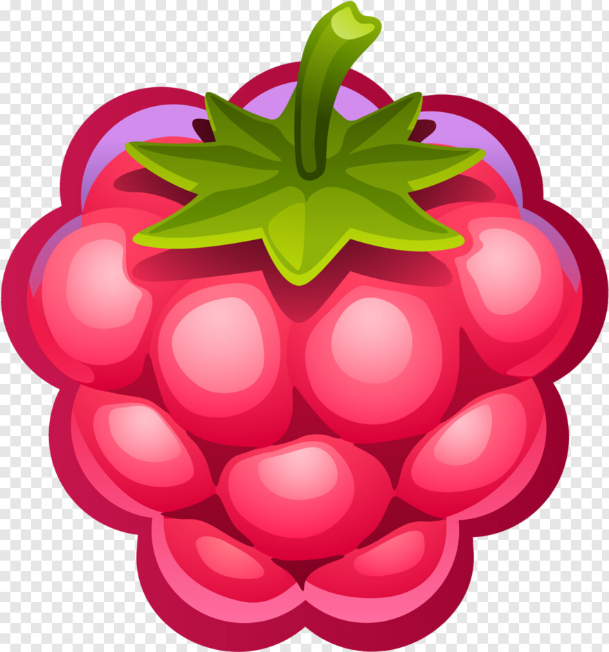 raspberry # 429316